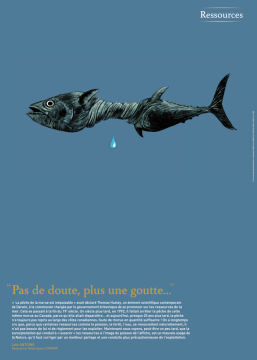 image du poster